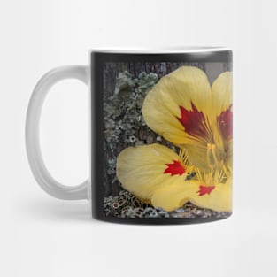 FLOWERS, NATURE’S Fashion Models Mug